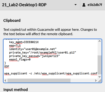 A screenshot of a computer Description automatically generated